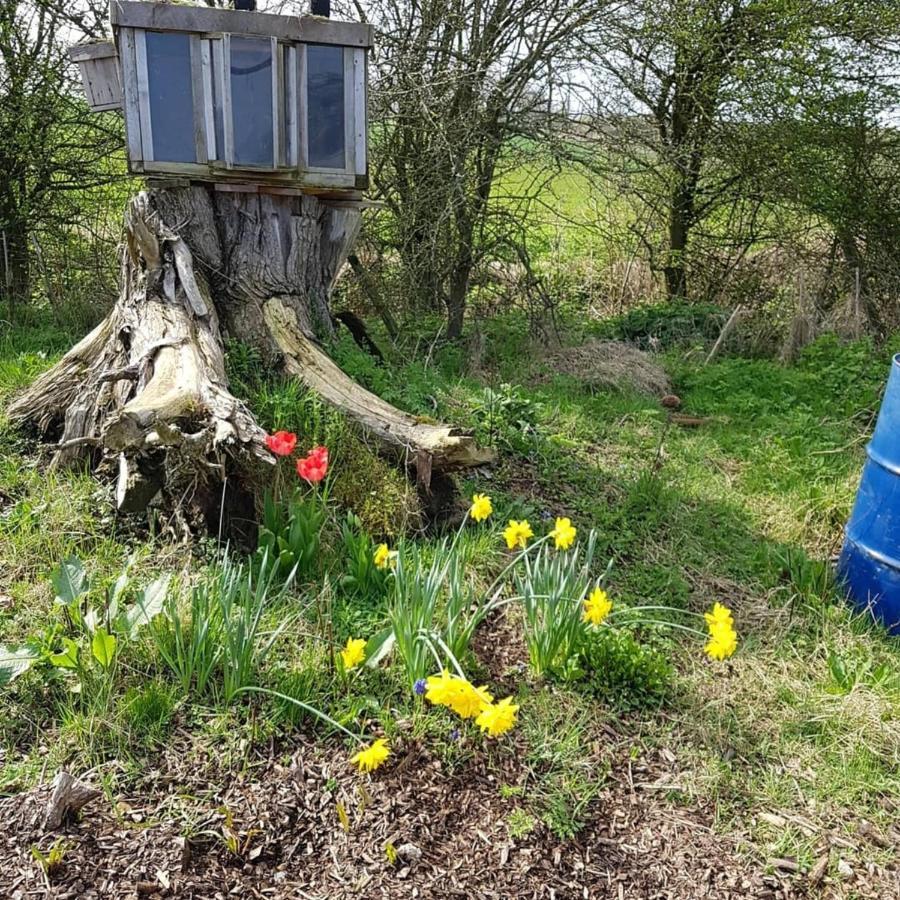 Romantic Escape Luxury Hobbit House With Hot Tub! Sheerness Exterior photo